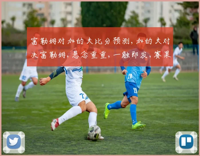 富勒姆对加的夫比分预测,加的夫对决富勒姆,悬念重重,一触即发,赛果谁主沉浮